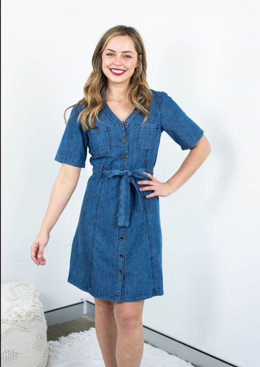 Evie denim dress